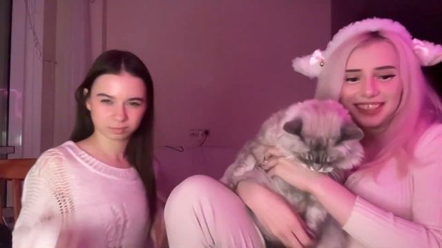 ника оценила форму Светы соллар смотреть онлайн
