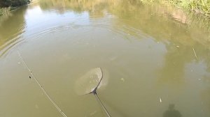 Рыбалка на Хопре с ночевкой