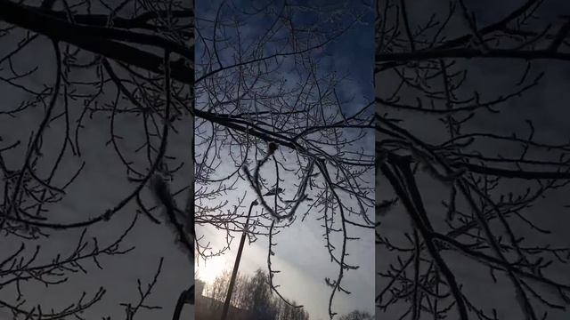 Потолок ледяной дверь скрипучая смотреть онлайн