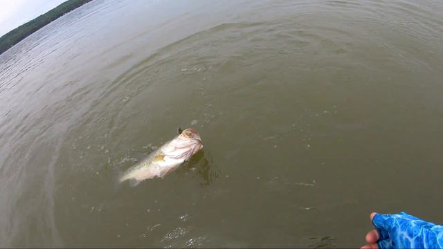 HOW Does an FLW TOURNAMENT Pro Catch More FISH!??! + (REVEALED) смотреть онлайн