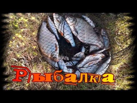 Рыбалка Первомай смотреть онлайн