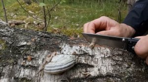 Нож Cold Steel Voyager tanto Large  AUS 10A. Тест / testing