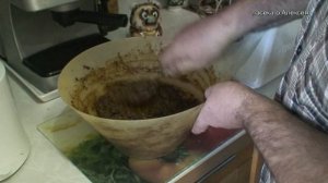 ПЕРГА. как сделать перговую пасту