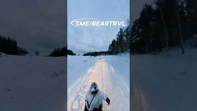 Прогулка на снегоходах в Карелии. смотреть онлайн