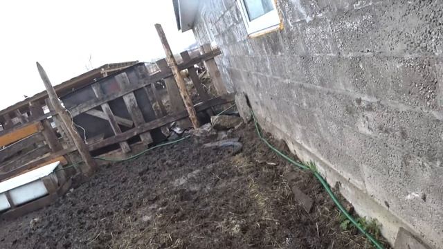 МЕЧТЫ СБЫВАЮТСЯ ! Уличная кормушка для КРС \Гриша сделал ЭТО ! смотреть онлайн