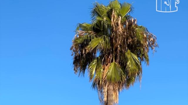 On emménage ensemble à Los Angeles | sparkdiseIRL смотреть онлайн