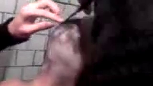 Стрижка за 5 минут до нового года смотреть онлайн