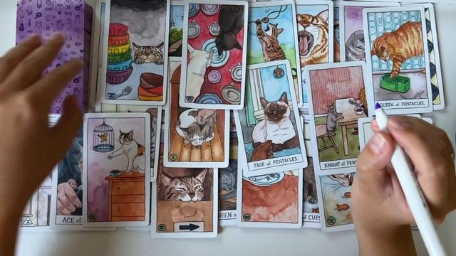 ТАРО ШОПИНГ в Южной Корее. Обзор кошачьей колоды CAT TAROT смотреть онлайн