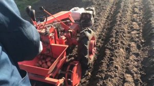 Мотоблок МТЗ с картофелесажалкой ВРМЗ