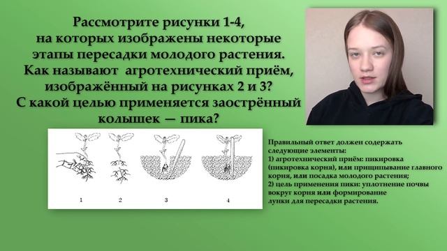 ОГЭ по биологии 2022. 25 задание по БОТАНИКЕ. смотреть онлайн