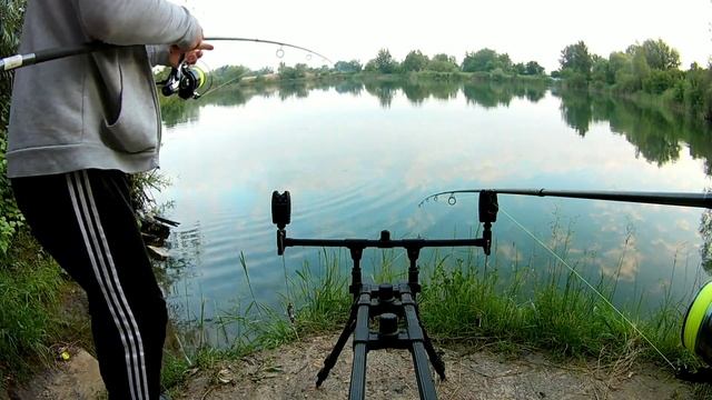 Покльовка коропа, та її реалізація!!! #короп #риба #рибалка #відпочинок #покльовка #карп #рыба смотреть онлайн