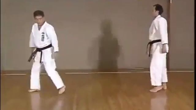 Heian Sandan _ Kata & Bunkai - Hirokazu Kanazawa 10th Dan Shotokan Karate смотреть онлайн