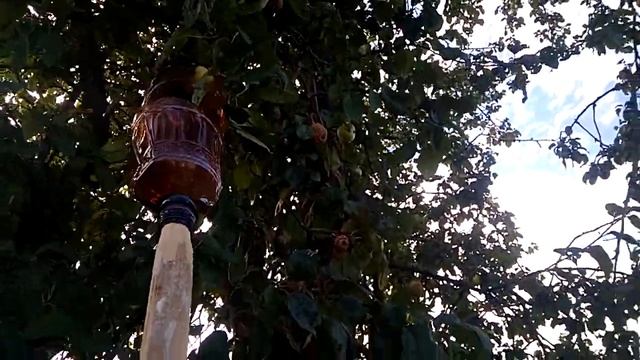 #плодосборник своими руками, собираем яблоки с удобствами смотреть онлайн