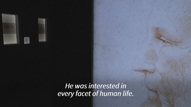 US capital hosts 12 Leonardo da Vinci sketches for the first time | AFP смотреть онлайн