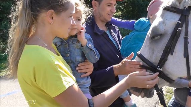 Ставрополь Парк Победы видео. Смотрим выступление лошадей. Катаемся на каруселях. Детский #видеоблог смотреть онлайн