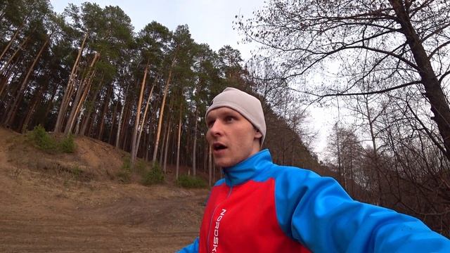 Снаряжение для хаски | Как увеличить скорость собаки #husky #short #ездовойспорт #хаски #тренировки смотреть онлайн