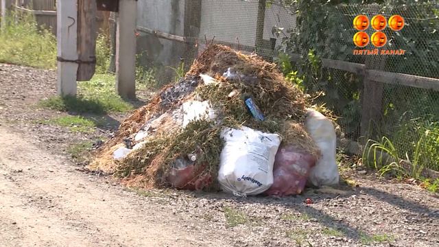 Жители домов по улицам Саранская и Лизы Чайкиной вынуждены терпеть зловоние смотреть онлайн