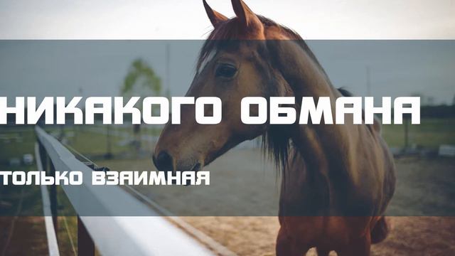 ЧЕСТНЫЙ ОБМЕН ЧР (Волшебная шляпа = 2 Набора Геры) смотреть онлайн