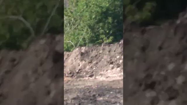 в прокопьевске капают нелегально разрез в районе вокзала где находится трамбольница 25 06 2022г смотреть онлайн