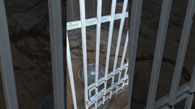 26 марта 2023 г. смотреть онлайн