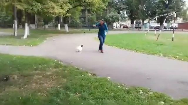 ODIS , ОДІС , ОДИС смотреть онлайн