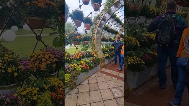 Фестиваль исторических садов/Сады и Мифы смотреть онлайн