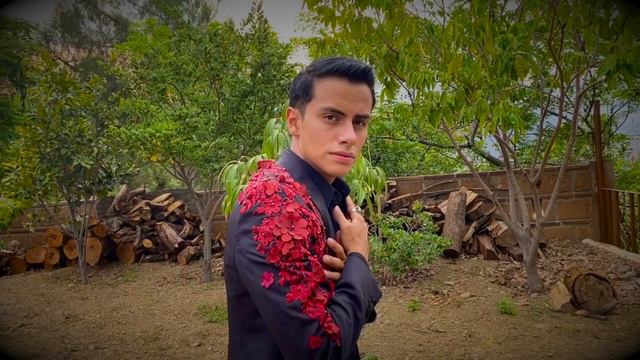 QUE VOY A HACER CON MI AMOR (COVER) / ULISES RONCES смотреть онлайн