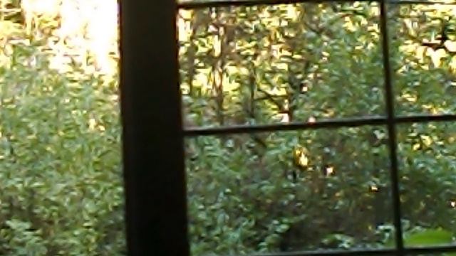 DSCN7851 Гуамское ущелье сентябрь 2024