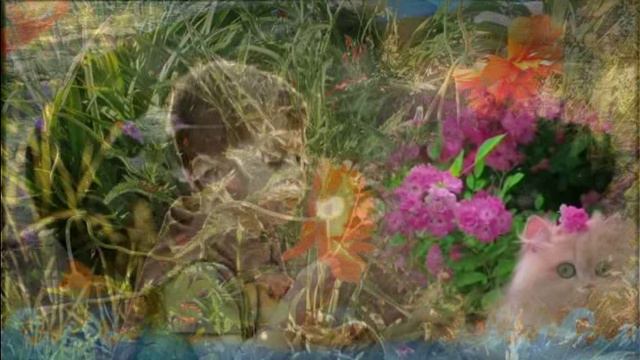 Чудо-лето. Новый клип Людмилы Гетманской