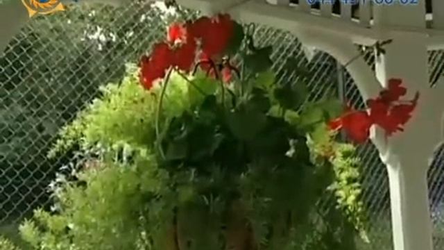 Автоматический полив газона смотреть онлайн