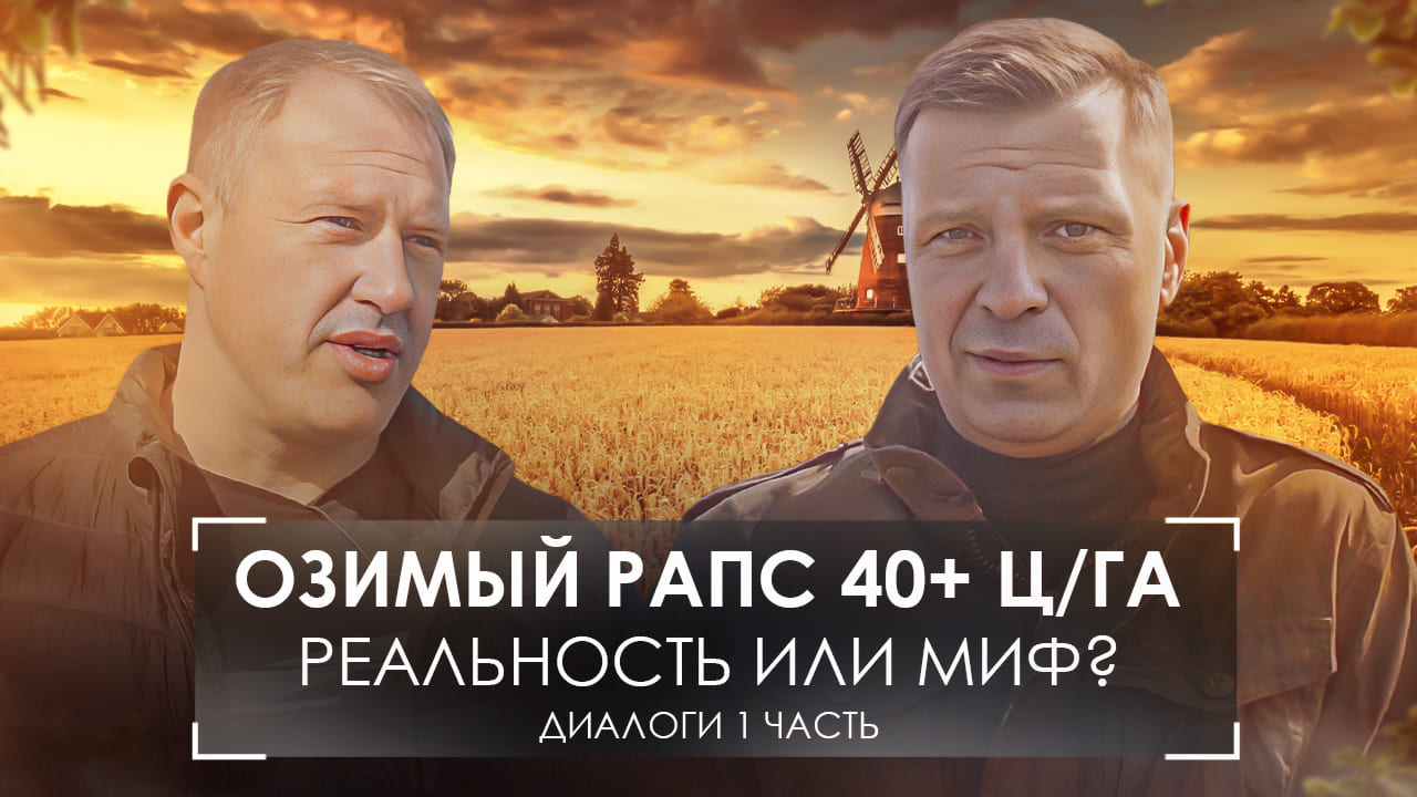 Как вырастить озимый рапс? Принципы и технологи, лайфхаки и секреты из Брянской области. #диалоги №8 смотреть онлайн
