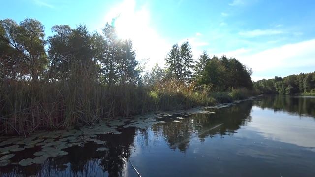 ДОЖДАЛСЯ, давно ТАКИХ ЩУК не ловил. Крупная щука на спиннинг осенью.