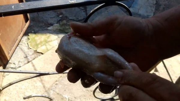 Как работает перосъёмная машина?!