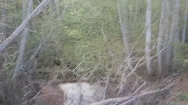 Volvo FH12 ☆ Tukša riepa ☆ Skubiņi смотреть онлайн