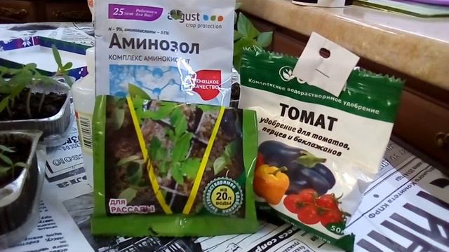 Семена не взошли, почему? смотреть онлайн