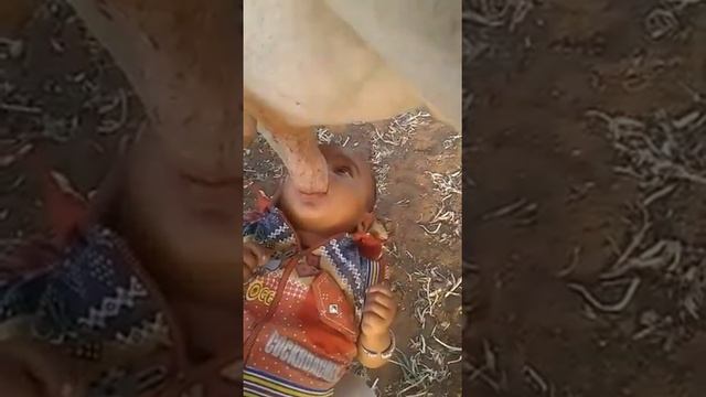 Вот так надо кормить детей смотреть онлайн