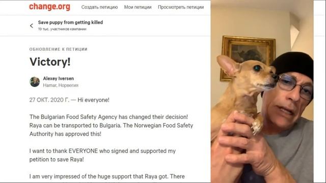 Голливудские красавчики и их дворняги. Истории спасения собак, или их хозяев. смотреть онлайн