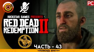 «Помощь брату» | Прохождение RDR 2 на Золото ? Без комментариев — Часть 43