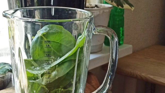 песто из листьев редиса