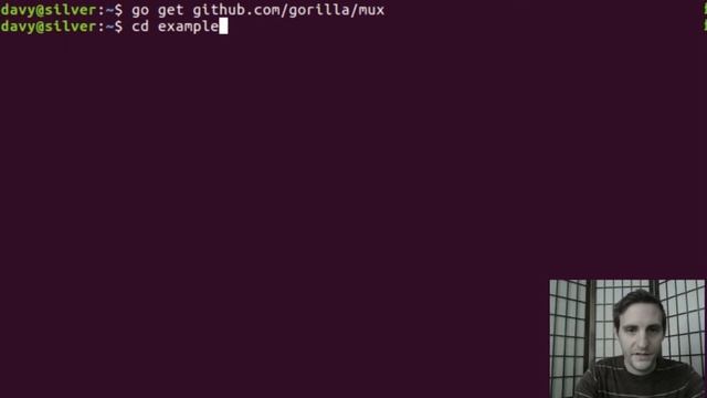 02 - Gorilla mux смотреть онлайн