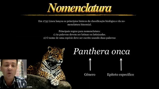 TAXONOMIA - LINEU, CATEGORIAS TAXONOMICAS E NOME CIENTÍFICO - BIOLOGIA - PROFESSOR AMEBA смотреть онлайн