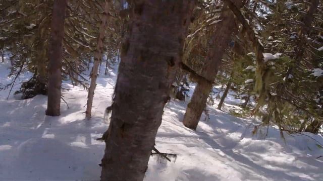 Шерегеш 28/02/2023 смотреть онлайн