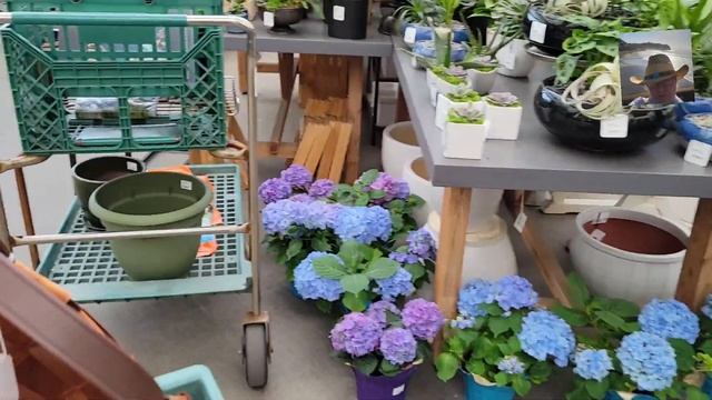 Обзор теплицы / Саженцы /Цветы смотреть онлайн