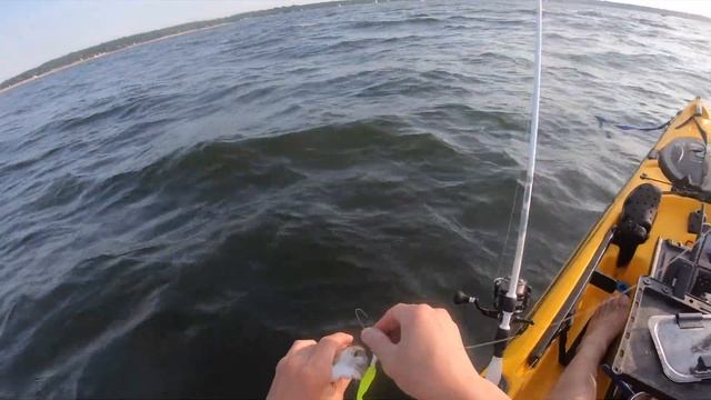 Catching Porgies using Jigs from the Kayak смотреть онлайн