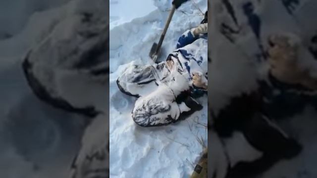 Заживо замёрз жесть смотреть онлайн