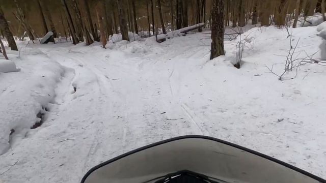 Покатушки на снегоходе !!! В лесу. Следы лося.