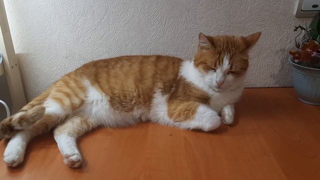 Почему мы попадаем в круговорот повторяющихся событий смотреть онлайн