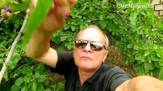 Тут как тут смотреть онлайн