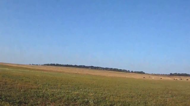Сентябрьский перепел-2 смотреть онлайн
