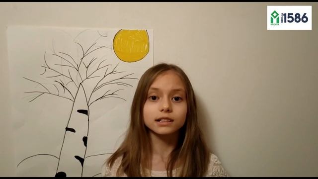 А. Фет «Печальная береза», читает Ксения К. 3Б смотреть онлайн